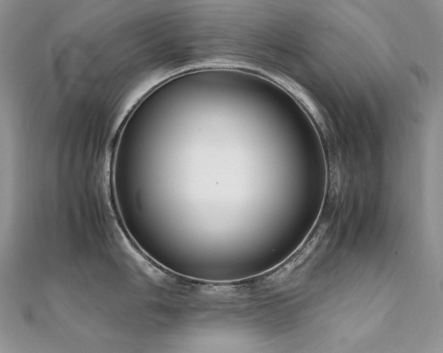 X0000110931006200906181425