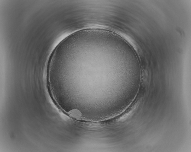 X0000110931007200906181425