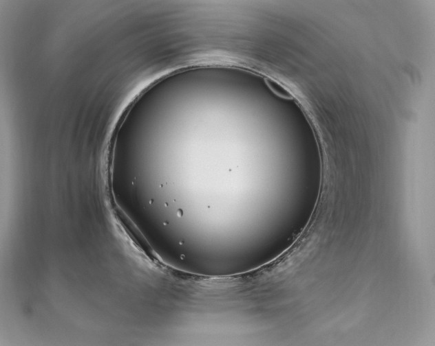 X0000110931008200906181425