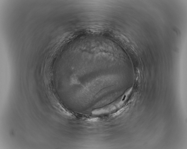X0000110931009200906181424