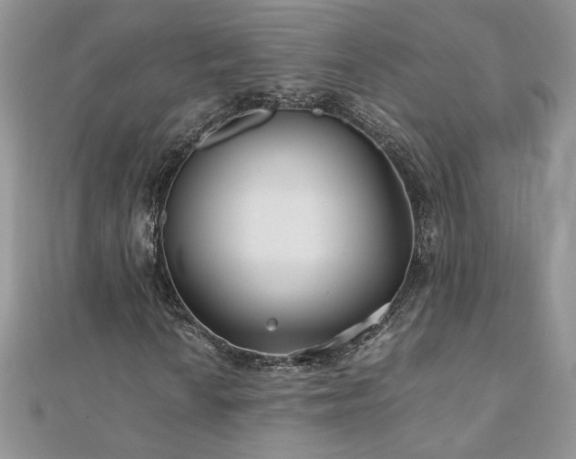 X0000110931010200906181424