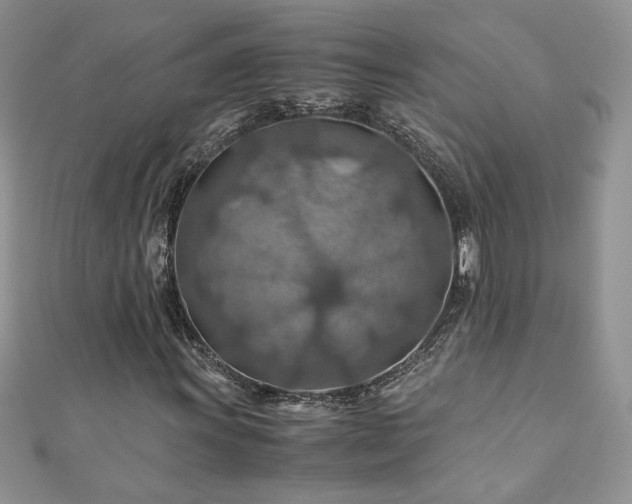 X0000110931011200906181424