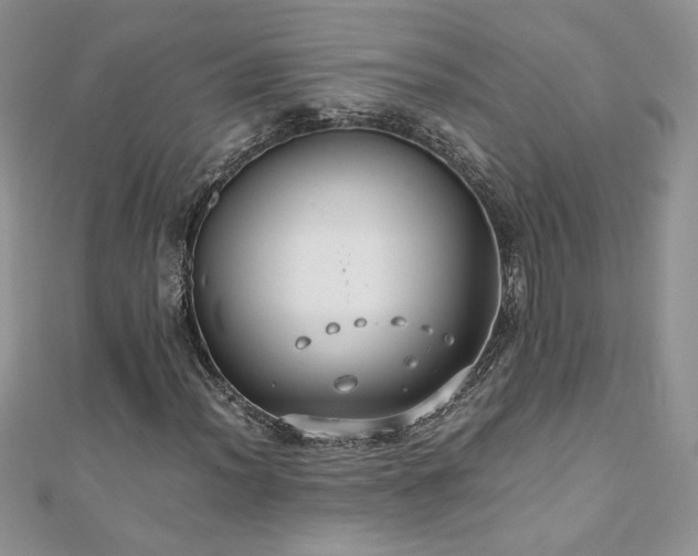X0000110931012200906181424