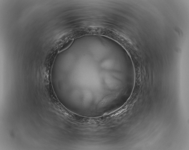X0000110931013200906181424
