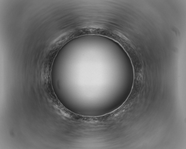 X0000110931014200906181424