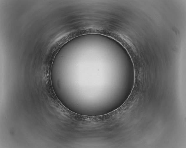 X0000110931015200906181424