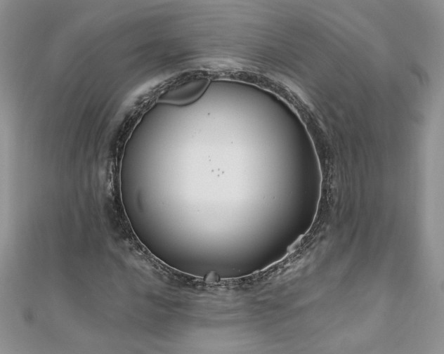 X0000110931016200906181424