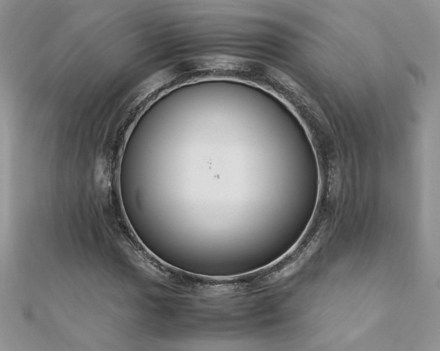 X0000110931017200906181424
