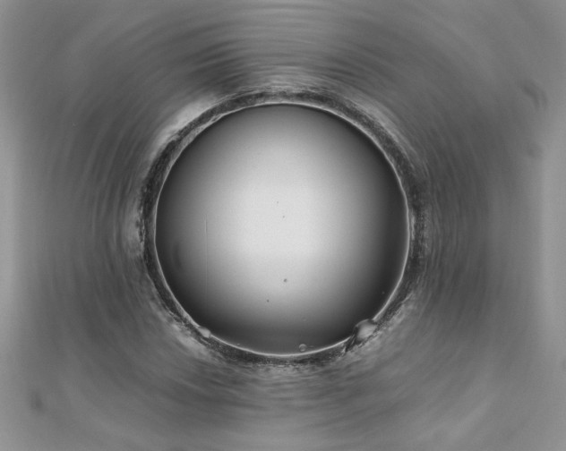 X0000110931018200906181424