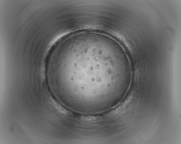 X0000110931019200906181424