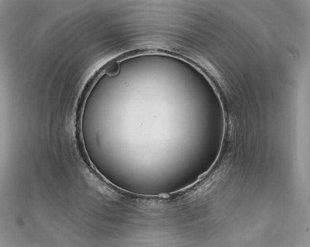 X0000110931020200906181424