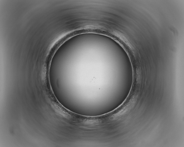 X0000110931021200906181424