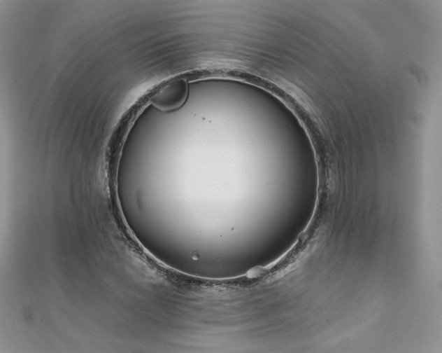 X0000110931022200906181425