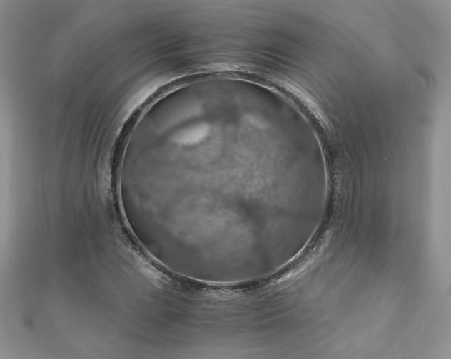 X0000110931023200906181425