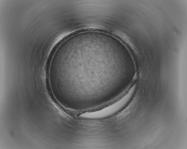 X0000110931024200906181425