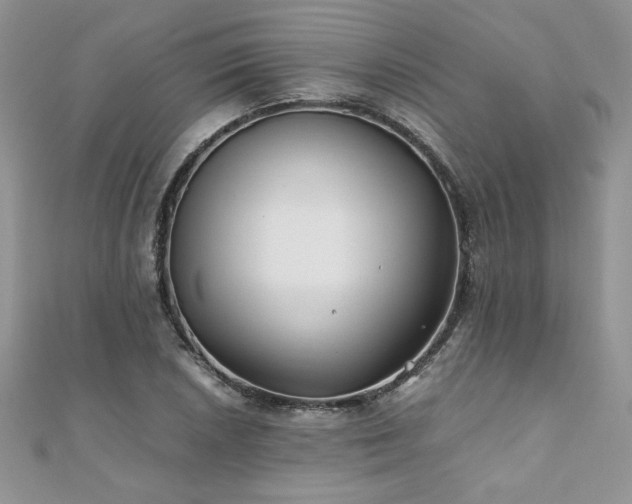 X0000110931026200906181425