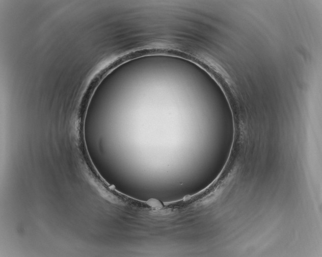 X0000110931029200906181425