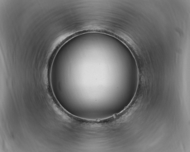 X0000110931030200906181425