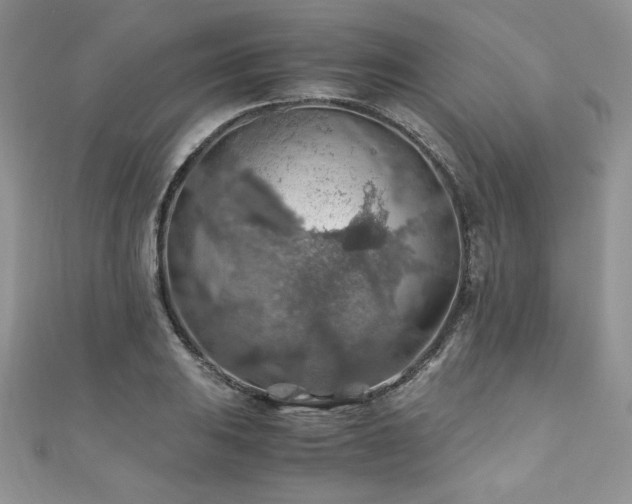 X0000110931031200906181425