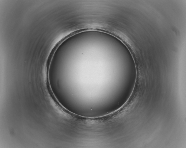 X0000110931032200906181425