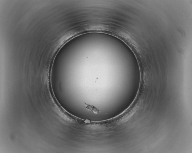 X0000110931033200906181425