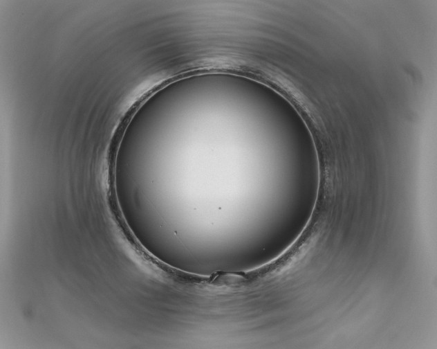 X0000110931034200906181425