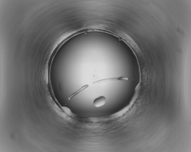 X0000110931036200906181425