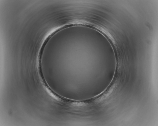 X0000110931037200906181425
