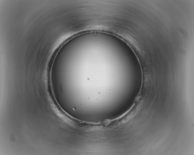 X0000110931038200906181425