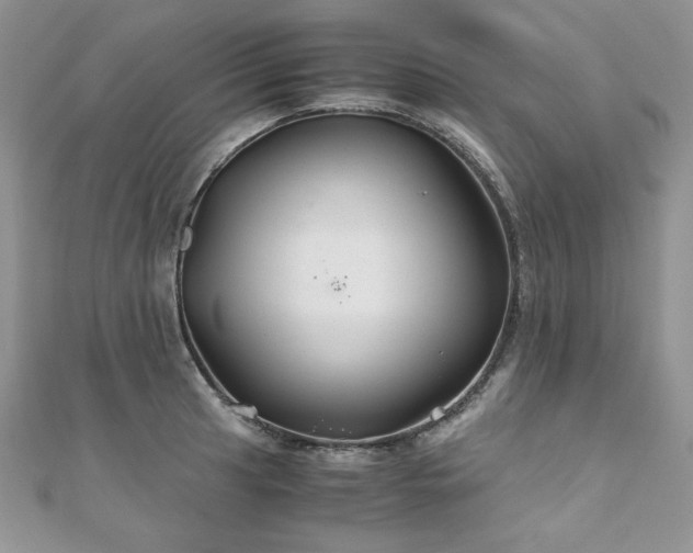 X0000110931041200906181425
