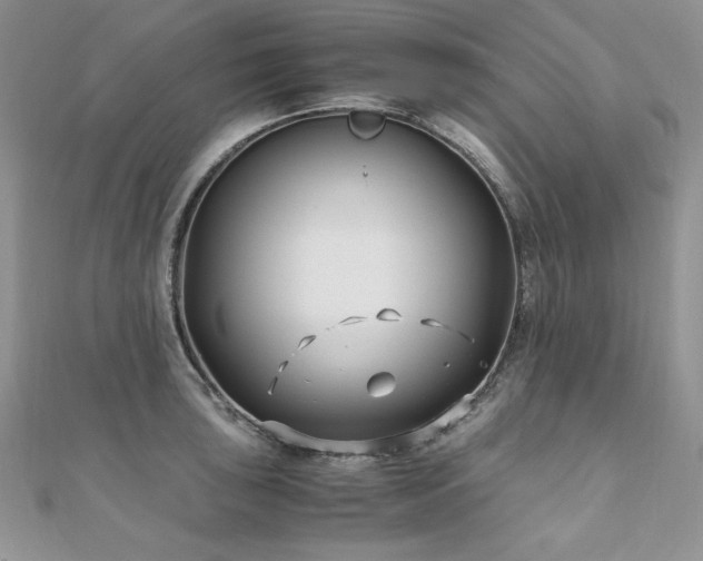 X0000110931043200906181425