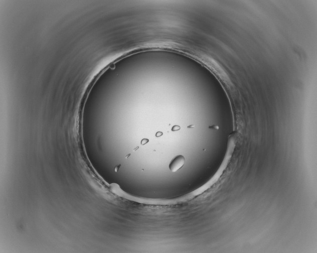 X0000110931044200906181425