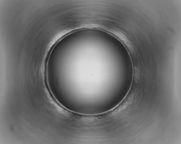 X0000110931046200906181425