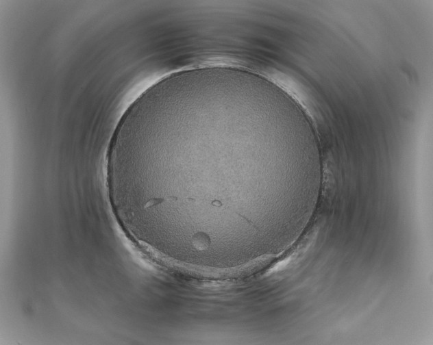 X0000110931047200906181425