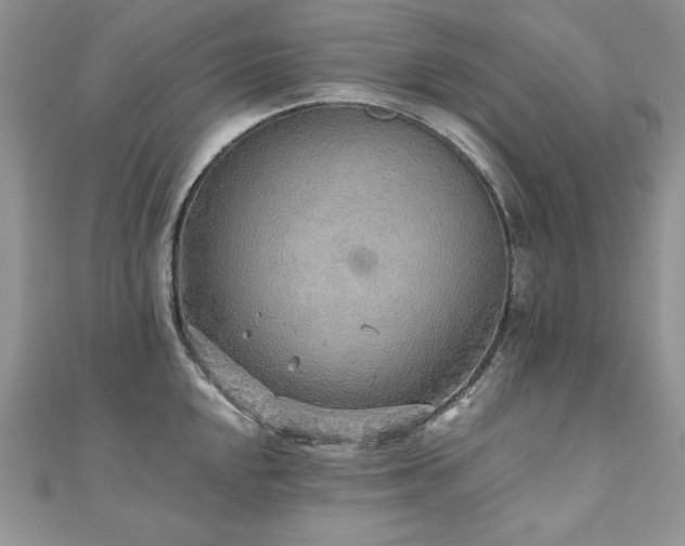 X0000110931048200906181425