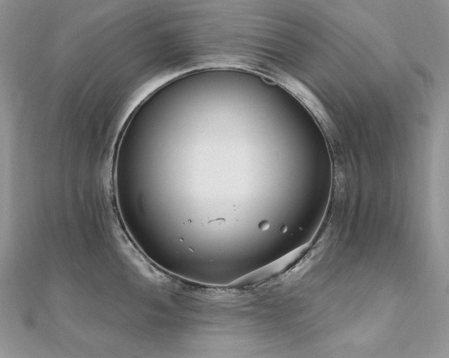 X0000110931052200906181425
