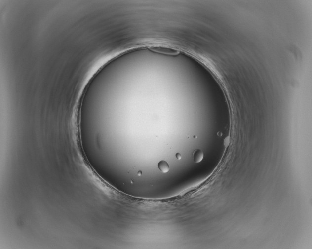 X0000110931056200906181425