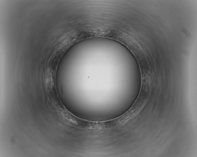 X0000110931058200906181424