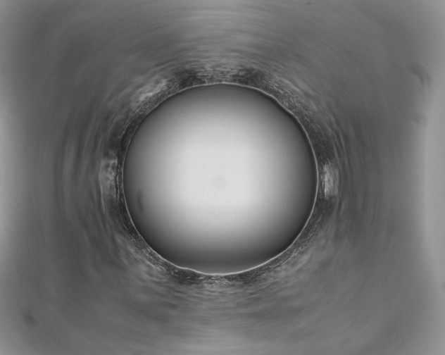 X0000110931059200906181424