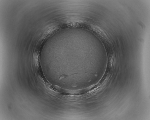 X0000110931060200906181424