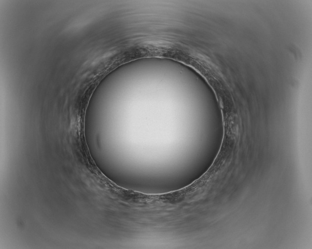 X0000110931061200906181424
