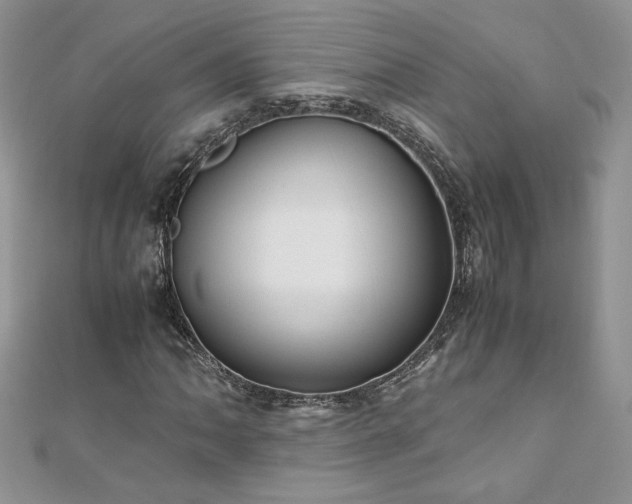 X0000110931062200906181424