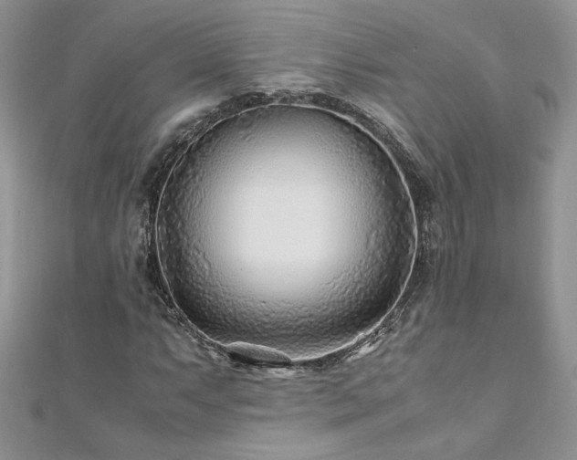 X0000110931063200906181424