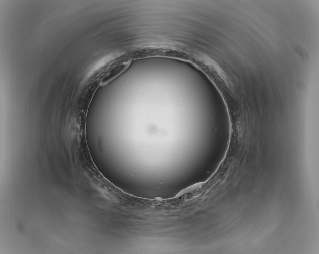 X0000110931064200906181424