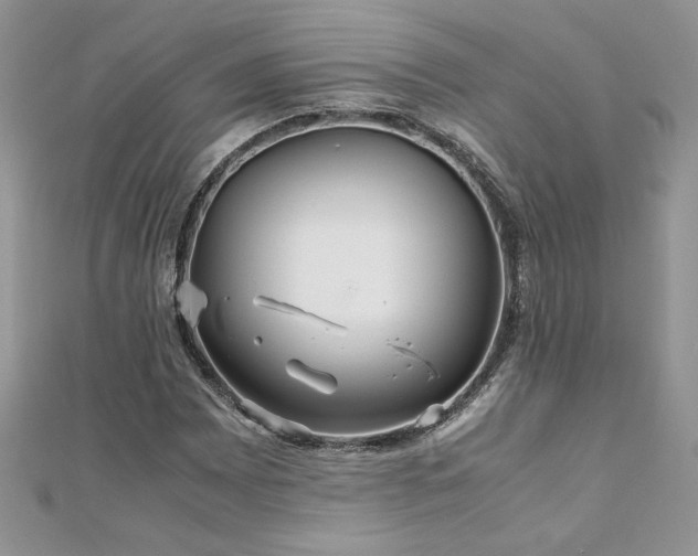 X0000110931065200906181424