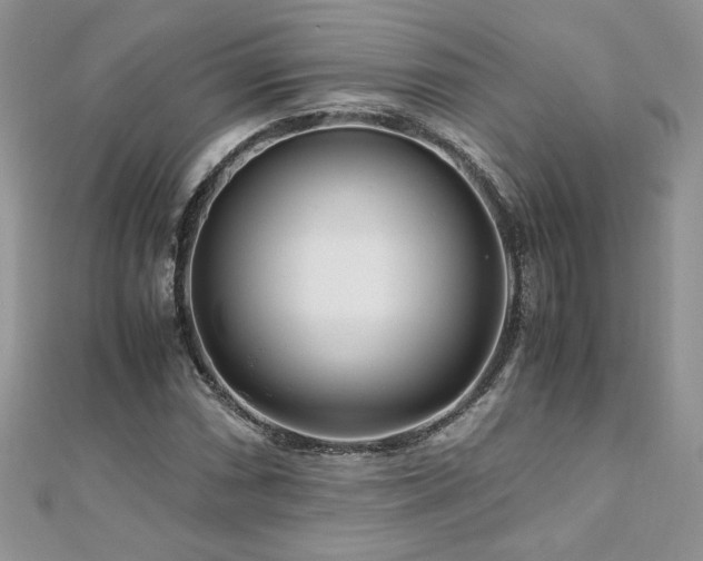 X0000110931066200906181424