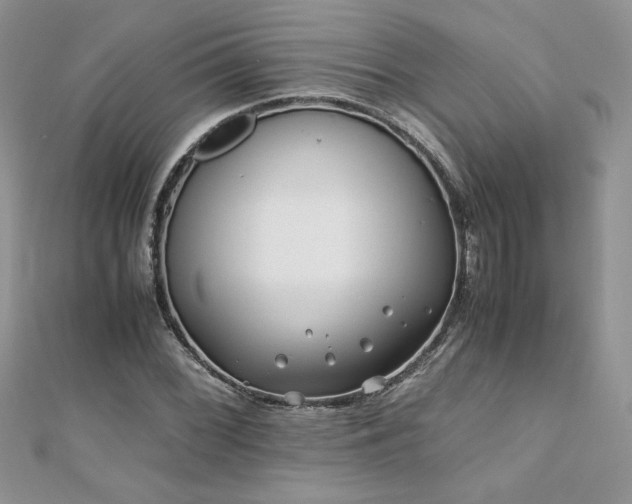 X0000110931068200906181424
