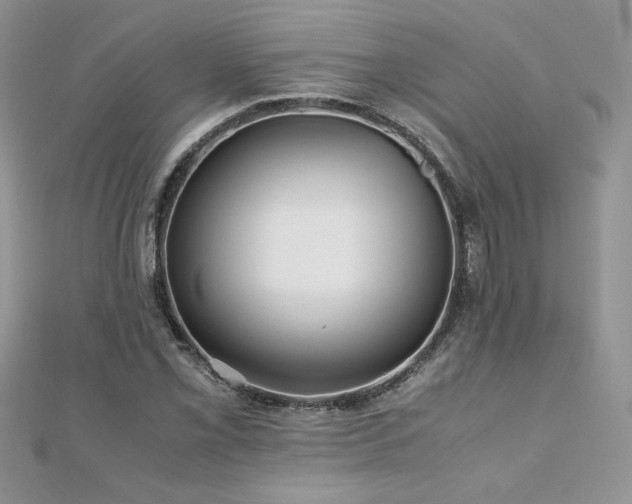 X0000110931069200906181424