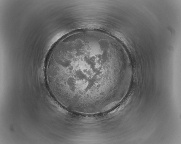 X0000110931071200906181424
