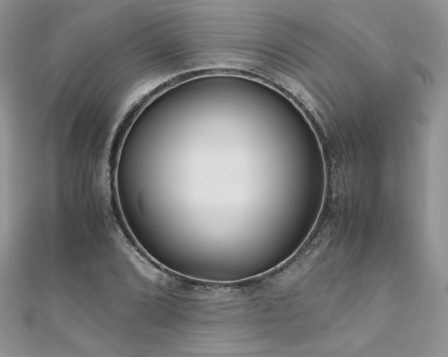 X0000110931072200906181424